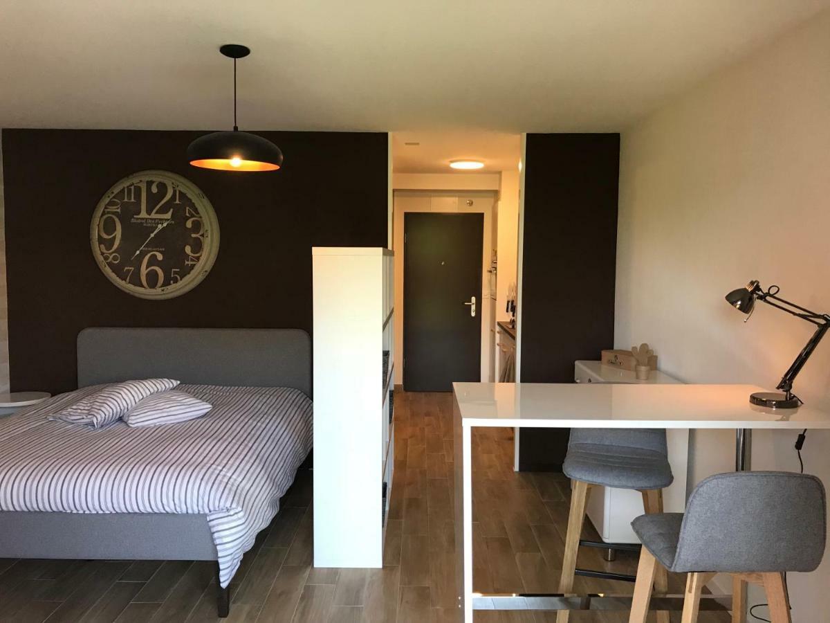 Large Studio Near Epfl And Lausanne City Center Ecublens  Exterior photo